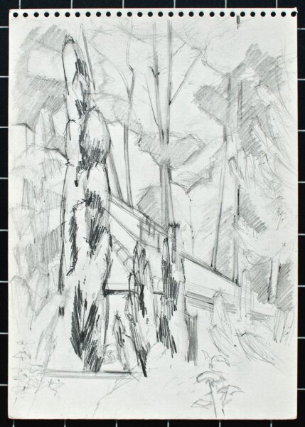 Sonja Wüsten - Teupitz - o.J. - Bleistift