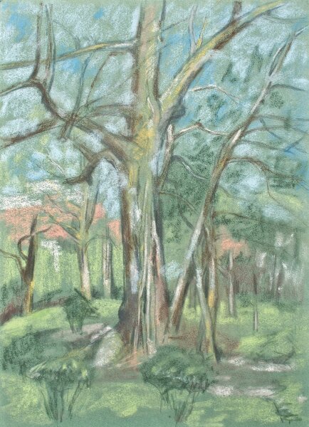 Sonja Wüsten - Wald - o.J. - Pastell