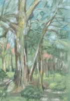 Sonja Wüsten - Wald - o.J. - Pastell