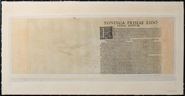 unbekannt - Toninga Eiderstadiae - o.J. - Kupferstich