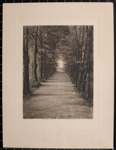 Julius Rosenbaum - Allee - 1893 - Radierung