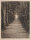 Julius Rosenbaum - Allee - 1893 - Radierung