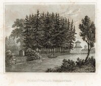 unbekannt - Poniatowskis Denkstein - Stahlstich - 1840