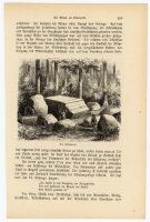 unbekannt - Der Riesenaltar - Druckgrafik - oJ.