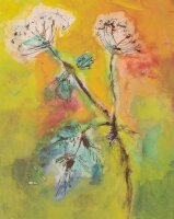 Unbekannt - Gemeine Schafgarbe - Tuschezeichnung - o.J.