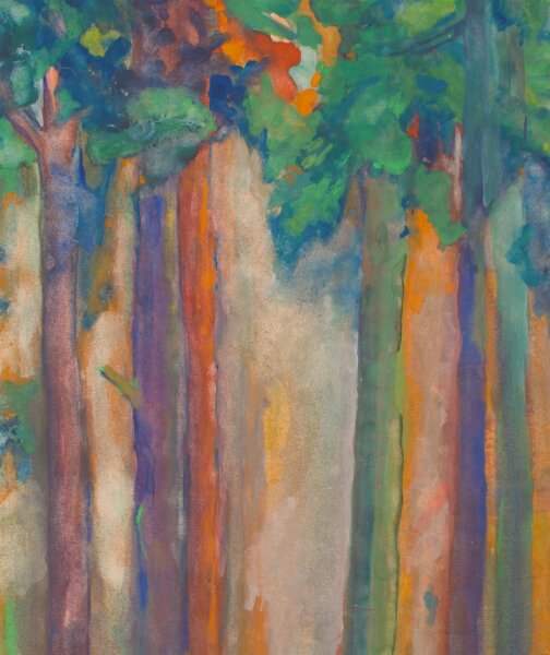 Unbekannt - Wald - Tusche, Kreide und Akrylfarbe - o.J.