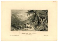 unbekannt - Gegend bei Fort Dauphin - Stahlstich - o.J.