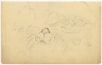 unbekannt - Enten - Bleistuftzeichnung - o.J.