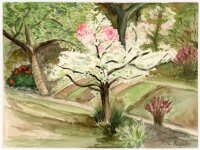 unbekannt - Blühende Bäume - Aquarell - o.J.