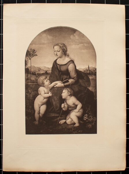 Nach Raffael - Die schöne Gärtnerin - 1890 - Radierung