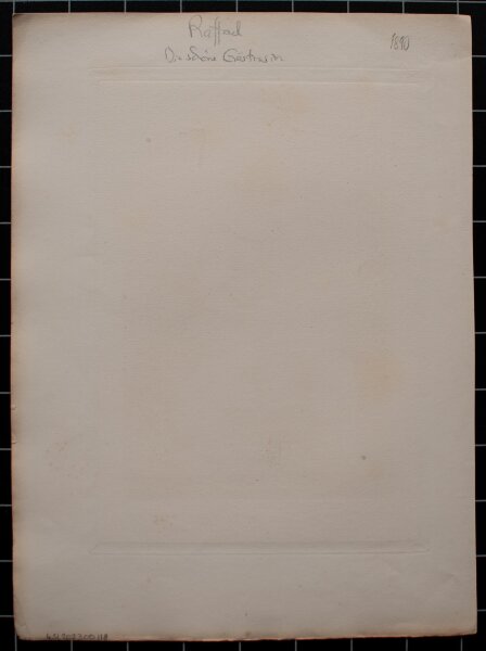 Nach Raffael - Die schöne Gärtnerin - 1890 - Radierung