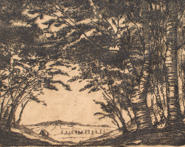 Unleserlich signiert - Waldblick - o.J. - Radierung