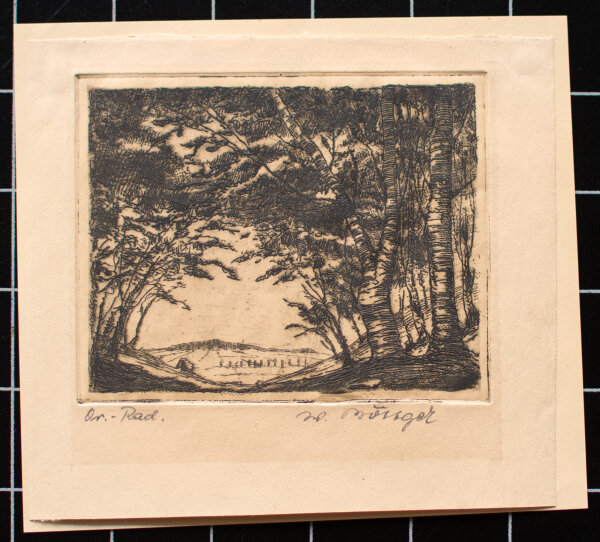 Unleserlich signiert - Waldblick - o.J. - Radierung