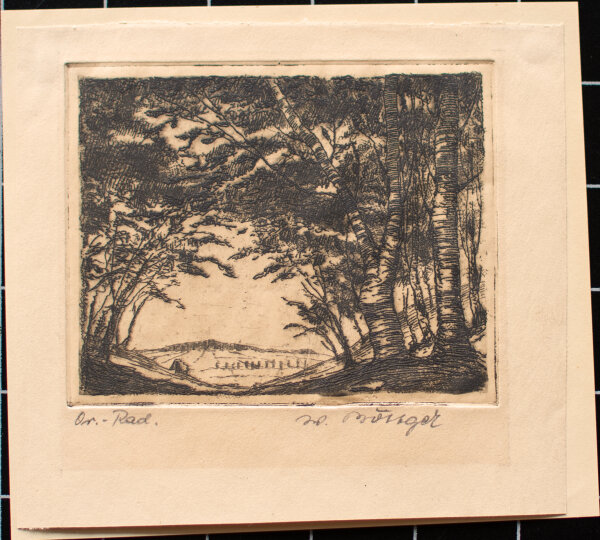 Unleserlich signiert - Waldblick - o.J. - Radierung