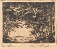 Unleserlich signiert - Waldblick - o.J. - Radierung