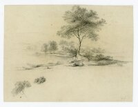 Unbekannt - Bäume am See - o.J. - Bleistiftzeichnung