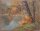 Unbekannt - Herbstliche Flußlandschaf - o.J. - Tempera