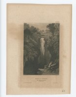 Thomas Barber -  - o.J. - Stahlstich