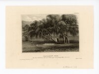 unbekannt - Napoleons Grab auf der Insel St. Helena -...