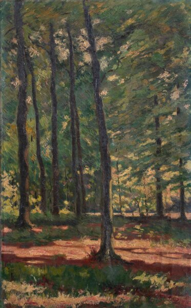 Unbekannt - Wald - o.J. - Öl auf Leinwand