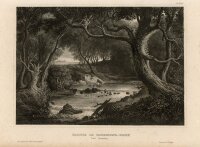 unbekannt - Partie im Richmond-Park bei London - o.J. -...