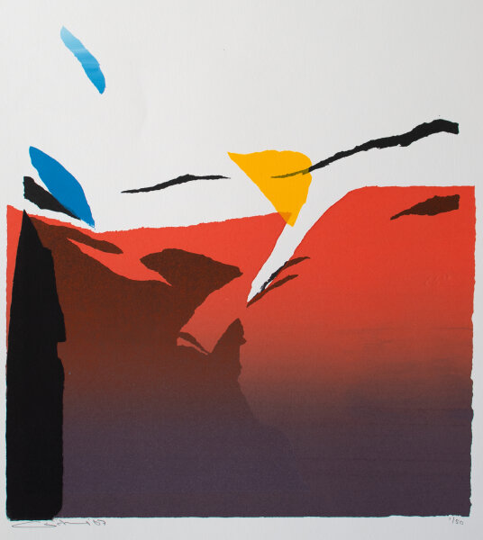 Unleserlich signiert - Organische Abstraktion - 2007 - Lithografie