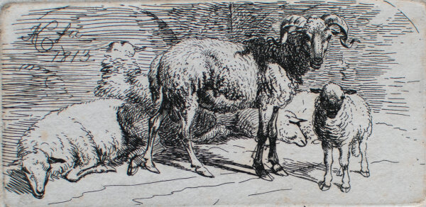 Johann Adam Klein - Widder und Lamm, dahinter 3 liegende Schafe - 1813 - Radierung