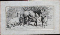 Johann Adam Klein - Widder und Lamm, dahinter 3 liegende Schafe - 1813 - Radierung