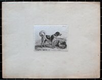 Johann Adam Klein - Blassl - 1852 - Radierung