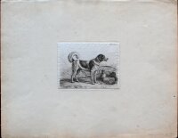 Johann Adam Klein - Blassl - 1852 - Radierung