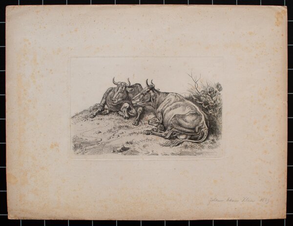 Johann Adam Klein - Die beiden wiederkäuenden Kühe - 1829 - Radierung