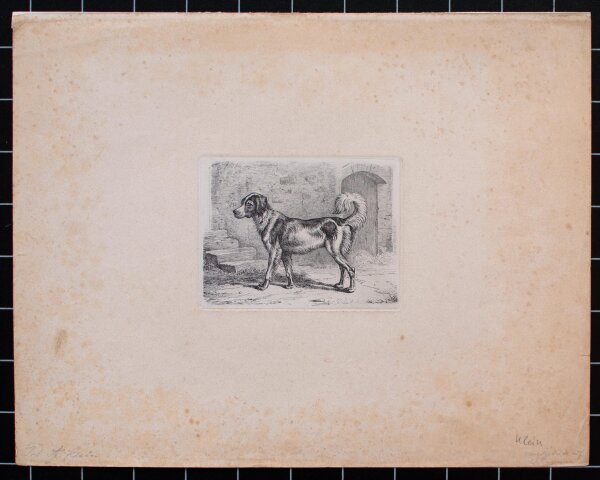 Johann Adam Klein - Langhaariger Hund an der Treppe - 1852 - Radierung