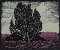 Nach Carl Thiemann - Strauch in Pastell - um 1930 -...