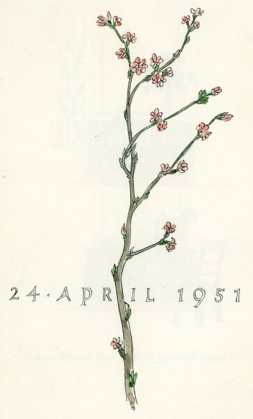 Uli Huber - Uli Huber Glückwunschkarte zum Geburtstag mit Kirschblüte und Spruch von Goethe 1951 - 1951 - Tusche/Aquarell