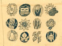 unbekannt - Skizze von Blumen, Früchten, Getreide...