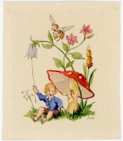 Fuchs - Fuchs Blume Pflanze Fliegenpils Biene Junge...
