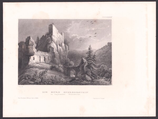 C. Reiss - Burg Sperberstein - um 1850 - Stahlstich