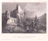 C. Reiss - Burg Sperberstein - um 1850 - Stahlstich
