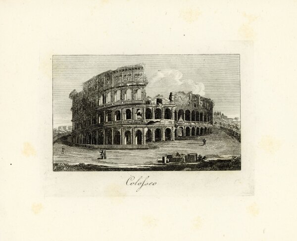 Tommaso Cuccioni - Kolosseum Amphitheater Rom Italien Stahlstich - um 1830 - Kupferstich