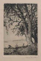 Hugo Eichler - Seeufer - o.J. - Radierung