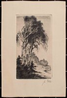 unbekannt - Landschaft mit Birken - o.J. - Radierung