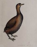 unbekannt - Wildente (Taucher) - o.J. - Aquarell