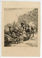 unbekannt -  - o.J. - Radierung