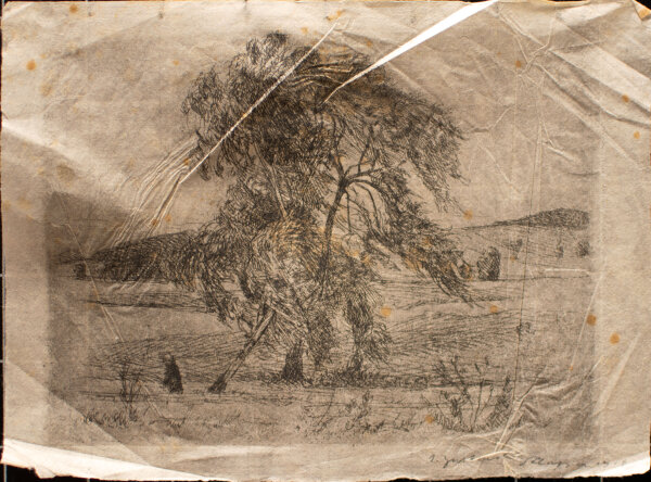 Karl Klapper - Baum in einer Landschaft - 1912 - Radierung