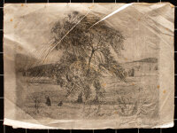 Karl Klapper - Baum in einer Landschaft - 1912 - Radierung