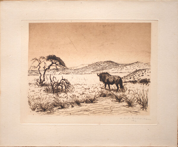 Herbert Eschenbach - Wisente auf dem Trockenen - 1921 - Radierung