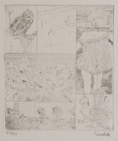 unbekannt - ohne Titel - o.J. - Radierung