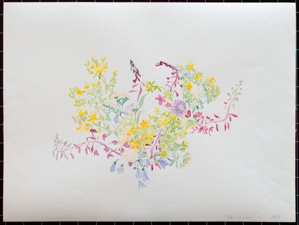 unbekannt - Zierblumen - 1990 - Aquarell