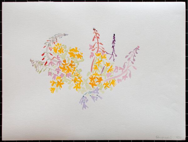unbekannt - Wildblumen - 1990 - Aquarell