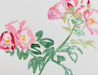 unbekannt - Pfingstrosen - 1990 - Aquarell